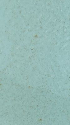 5C863A1D-AFA3-401F-87A2-098443596595.jpeg