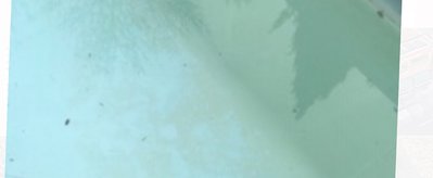 8E6C5D38-DA95-4EEB-B53F-8ADBEF32434C.jpeg
